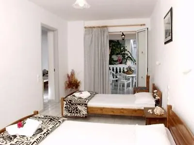 Apart Otel Plessas Palace 3*